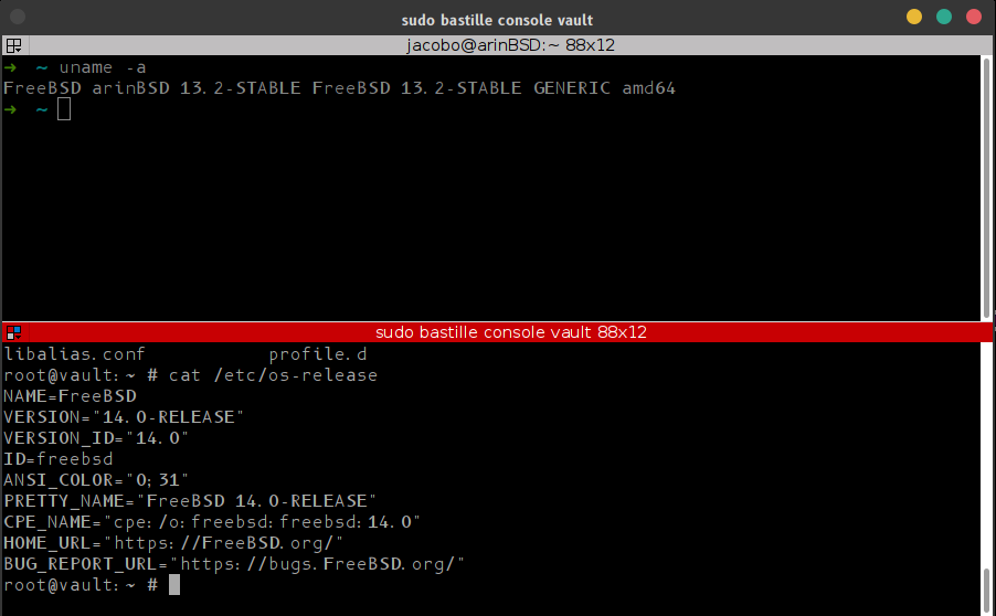 Se ve una captura de pantalla con la consola mostrando una Jaula de FreeBSD con una versión del sistema operativo diferente que el servidor